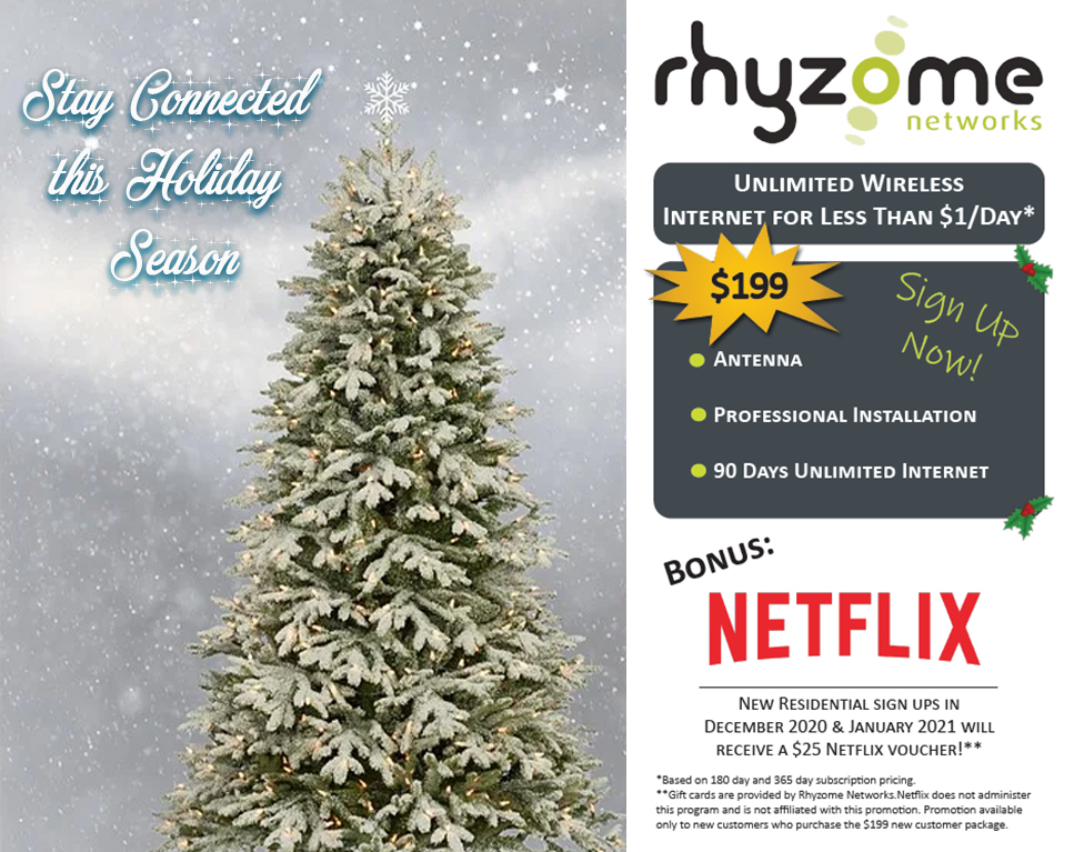 Netflix Promotion runs through Jan 31, 2021